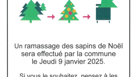 RAMASSAGE DES SAPINS DE NOEL