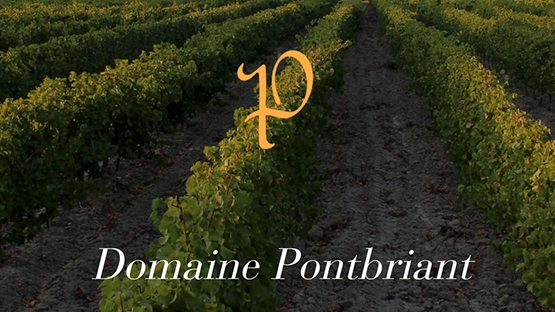 Domaine Pontbriand - Provence