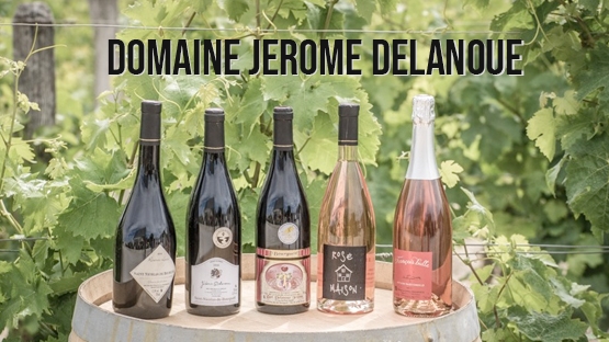 Domaine Jerome DELANOUE - Val de Loire